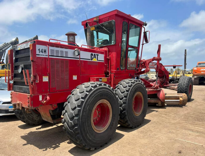 ⁦Cat14h⁩ - الصورة ⁦2⁩