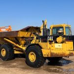 Dumber Cat D400