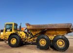 ⁦Dumber Cat D400⁩ - الصورة ⁦3⁩